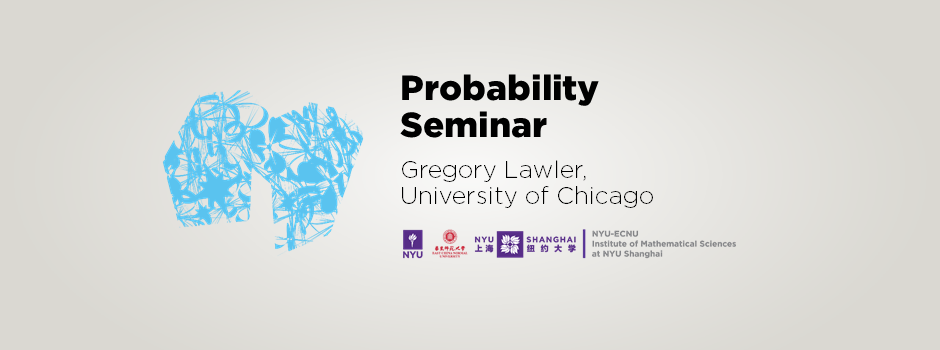 Natural Parametrization and the Loop-erased Random Walk