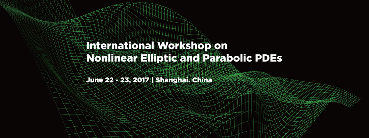 International Workshop on Nonlinear Elliptic and Parabolic PDEs