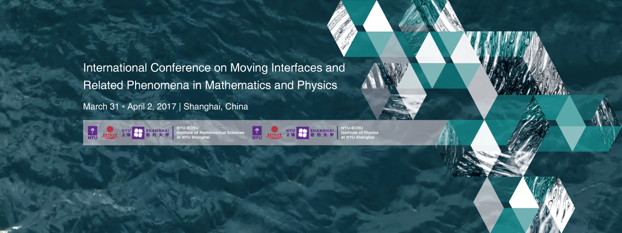 International Conference on Moving Interfaces and Related Phenomena in Mathematics and Physics