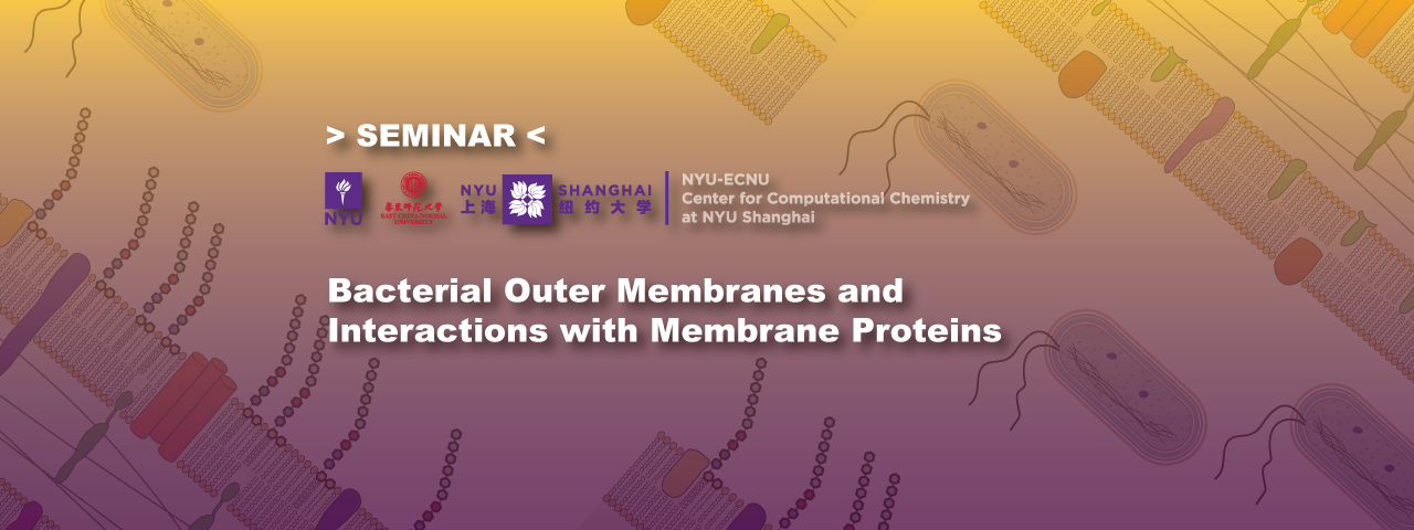 Bacterial Outer Membranes and Interactions with Membrane Proteins
