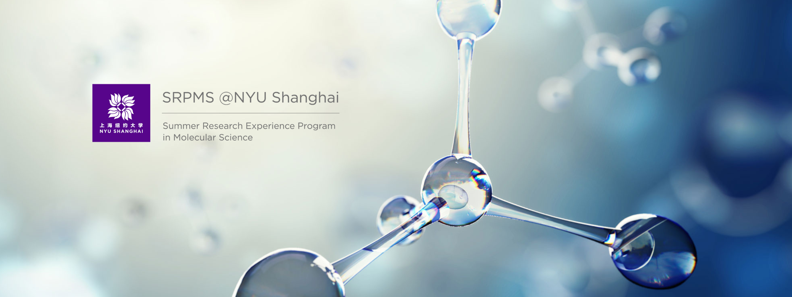 Summer Program (SRPMS)