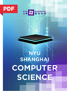 NYU Shanghai Computer Science
