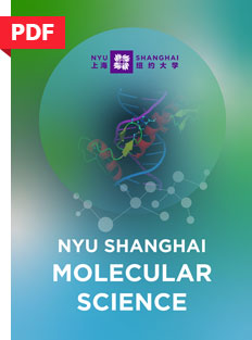 NYU Shanghai Molecular Science