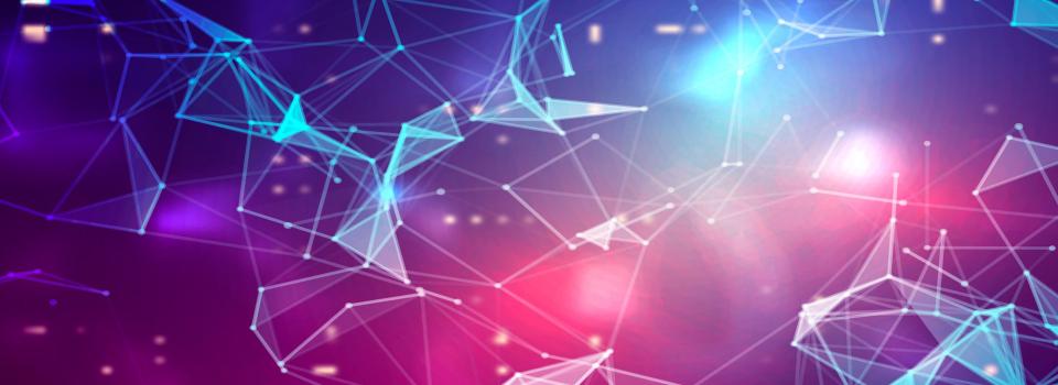 Research Highlights 2024-2025