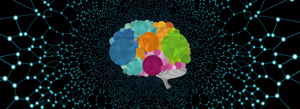 New research reveals the function of dopamine in action-outcome learning