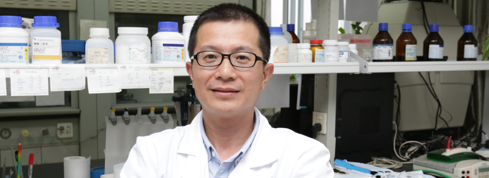 Early Auditory Training Yields Positive Cognitive Results into Older Age