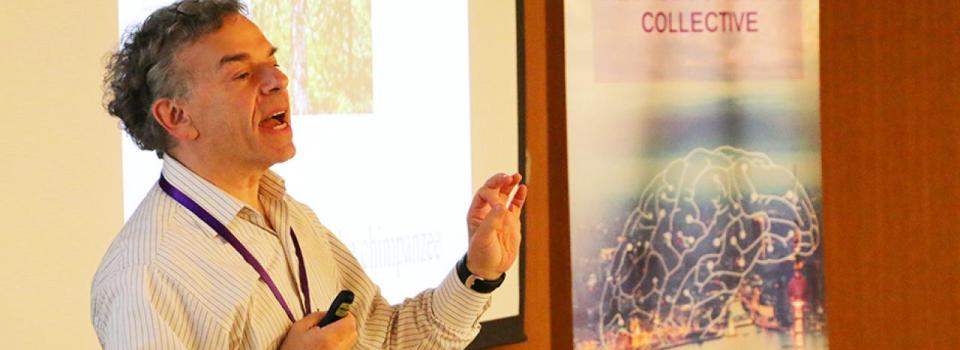 Shanghai Colloquium in Neuroeconomics: “If I Can See So Much, Why Do I Miss So Much?”