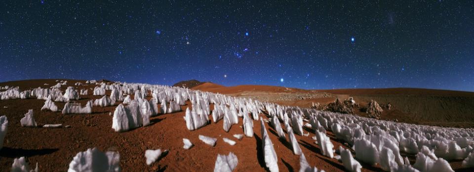 NYU Shanghai Scientist Participates in Breakthrough in the Understanding of Stone Forests
