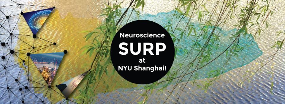 Nurturing Science Careers: NYU Shanghai’s Incubator for Future Neuroscientists