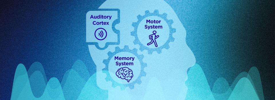 Neuroscience Explains the Sounds We Think We Hear