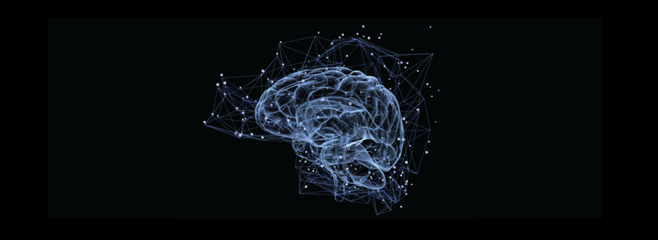 Scientists Outline How Brain Separates Relevant & Irrelevant Information