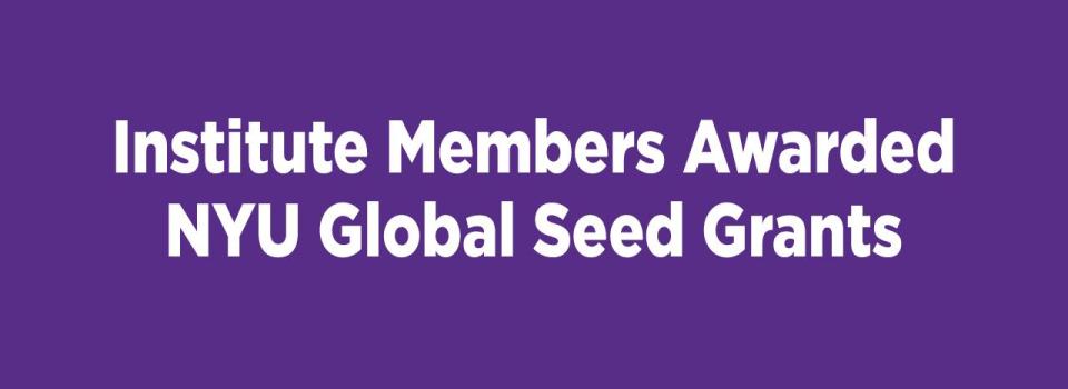 Institute Members Awarded NYU Global Seed Grants