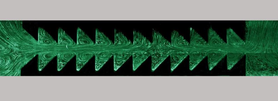 Inspired by the Flapping Wings of a Bird: Invention of a New Ratchet Pump