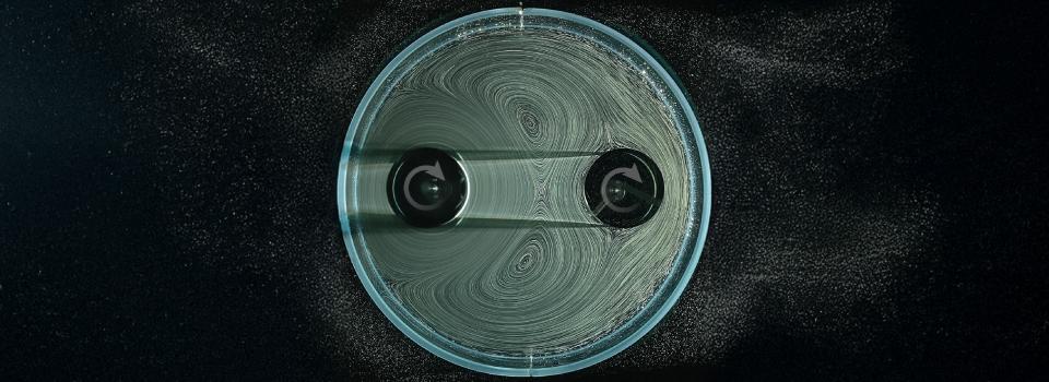 Scientists Put Teeth Into Water-Driven Gears