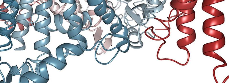 Center Faculty Awarded Grants to Fund Various Research Projects
