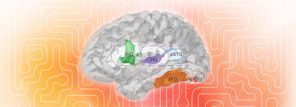 Speaking as a Window for Understanding, Developing, and Healing the Brain