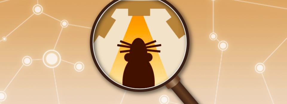 NYU Shanghai Faculty Research: Rapid Executive Control of Behavior in the Rat