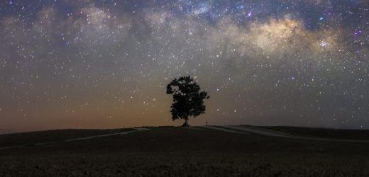 Philosophy Workshop | Virtues of Attention: Global Philosophical Perspectives