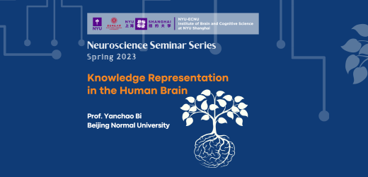 Knowledge Representation  in the Human Brain