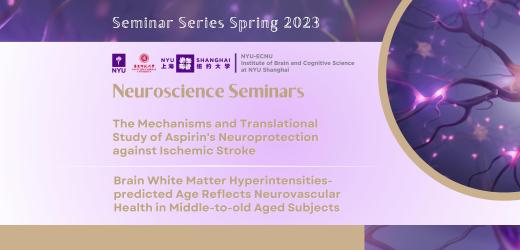 Neuroscience Seminars
