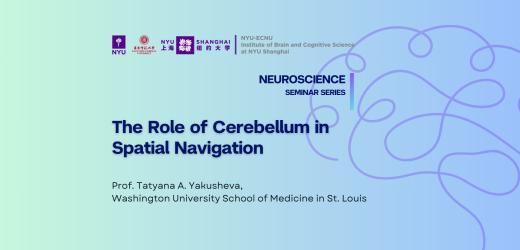 The Role of Cerebellum in Spatial Navigation