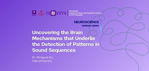 Uncovering the Brain Mechanisms that Underlie the Detection of Patterns in Sound Sequences