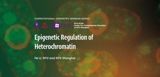 Epigenetic Regulation of Heterochromatin