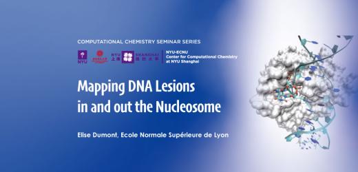 Mapping DNA Lesions in and out the Nucleosome