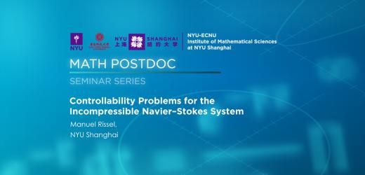 Controllability Problems for the Incompressible Navier–Stokes System