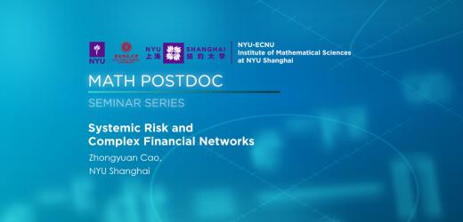 Systemic Risk and Complex Financial Networks