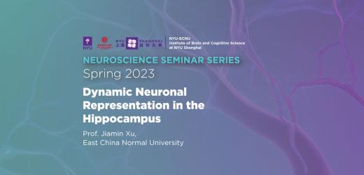 Dynamic neuronal representation in the hippocampus