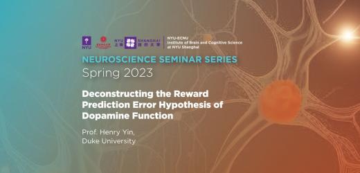 Deconstructing the reward prediction error hypothesis of dopamine function