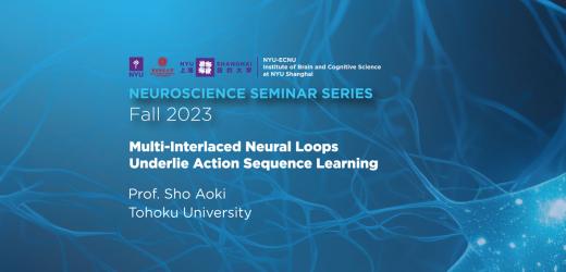 Multi-interlaced neural loops underlie action sequence learning