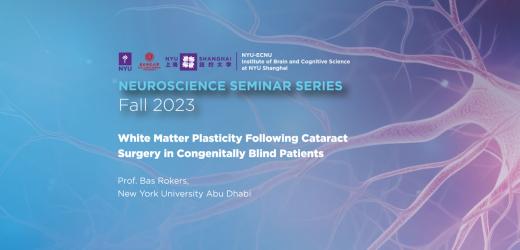White matter plasticity following cataract surgery in congenitally blind patients