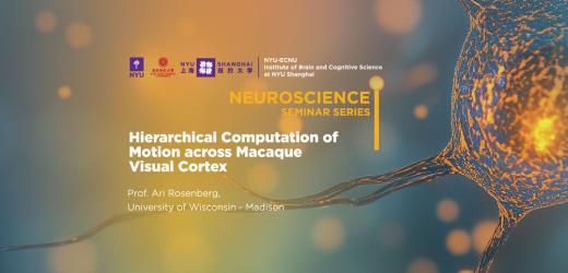 Hierarchical computation of motion across macaque visual cortex