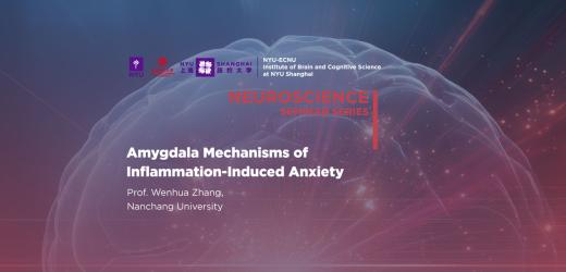Amygdala Mechanisms of Inflammation-Induced Anxiety