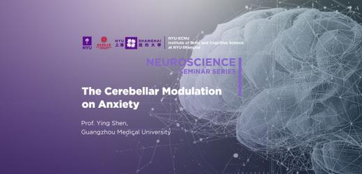  The Cerebellar Modulation on Anxiety