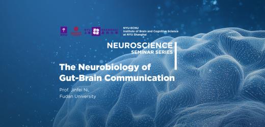 The Neurobiology of Gut-Brain Communication