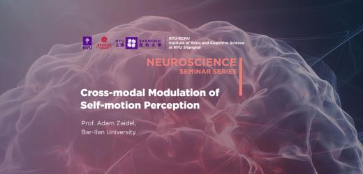 Cross-modal modulation of self-motion perception
