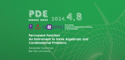 Permanent Function: An Instrument to Solve Algebraic and Combinatorial Problems