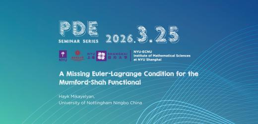 A Missing Euler-Lagrange Condition for the Mumford-Shah Functional