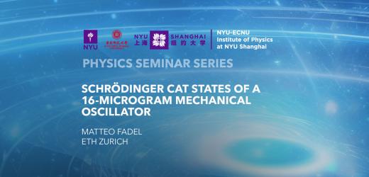 Schrödinger Cat States of a 16-Microgram Mechanical Oscillator