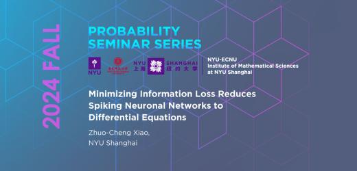 Minimizing Information Loss Reduces Spiking Neuronal Networks to Differential Equations
