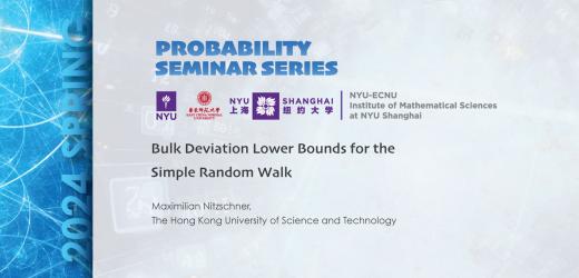 Bulk Deviation Lower Bounds for the Simple Random Walk