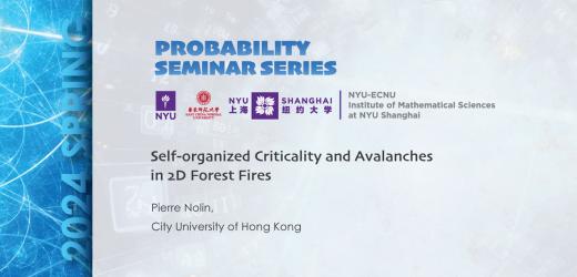 Self-organized Criticality and Avalanches in 2D Forest Fires