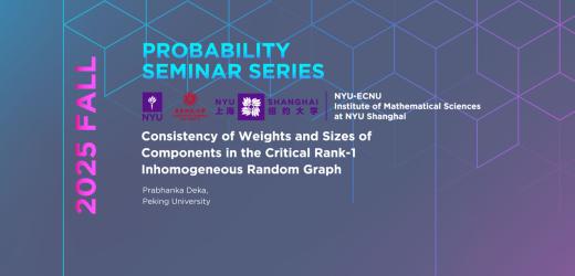 Consistency of Weights and Sizes of Components in the Critical Rank-1 Inhomogeneous Random Graph