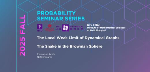 I. The Local Weak Limit of Dynamical Graphs | II. The Snake in the Brownian Sphere