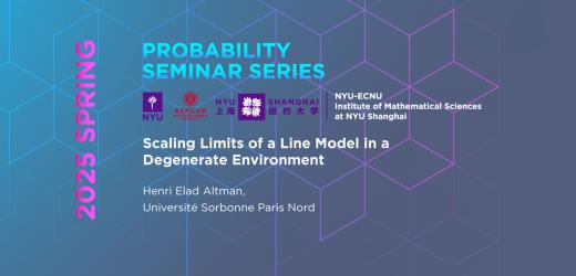 Scaling Limits of a Line Model in a Degenerate Environment