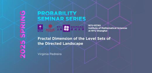 Fractal Dimension of the Level Sets of the Directed Landscape