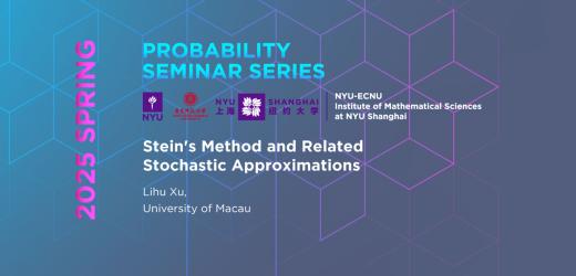 Stein's Method and Related Stochastic Approximations
